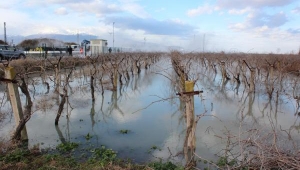 Jeotermal kuyusunda sıcak su patlaması: 1 yaralı