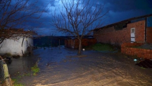 Nif Çayı taştı, 6 koyun telef oldu