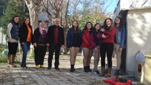 Ön bacakları kesilen kedi ve iki yavrusuna öğrenciler kucak açtı