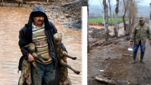 Su basan çiftlikte koyunlar telef oldu