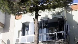 Ağaçta mahsur kalan kedi, itfaiye gelince kendi çabasıyla kurtuldu 