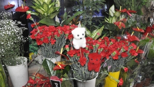 Çiçekçiler Sevgililer Gününden umduklarını bulamadılar