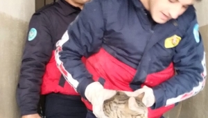 Havalandırma boşluğuna düşen yavru kediyi itfaiye kurtardı