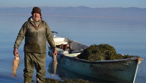 Marmara Gölü'nde su seviyesi yükseldi, balıkçıların yüzü güldü