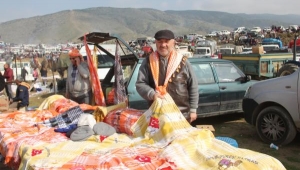 Sarıgöl'de '3'üncü Deve Güreşleri' yapıldı