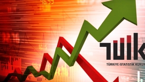 Sektörel Güven Endeksleri, Şubat 2019