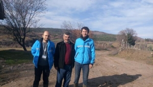 Su borularından 8 metrelik ağaç kökü çıktı