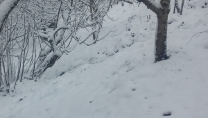 Turgutlu'nun kırsal mahallerini beyaz örtü kapladı