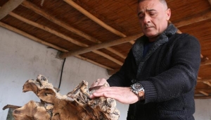 Ağaç dalları ek gelir kapısı oldu