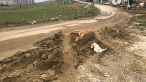 BBP Adayı Serhat Orhan: