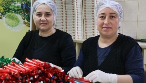 Saçılacak 6 ton mesir paketlenmeye başladı