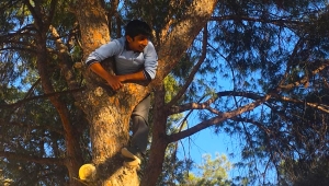 Yarım saat böyle bekledi