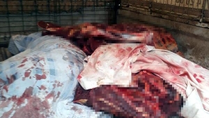 Kamyonette 800 kilo at eti ile yakalandılar