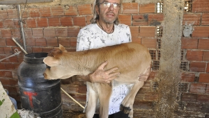 5 bacaklı buzağı görenleri şaşırttı