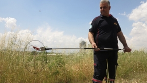 Eve giren yavru yılanı itfaiye kurtardı