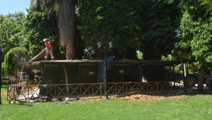 Orta parktaki kanatlı hayvanlar özgürlüğüne kavuştu