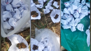 Turgutlu’da uyuşturucu operasyonu: 7 gözaltıdan 1 tutuklama