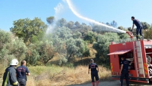 Ahırda çıkan yangın makilik alan ve tarım arazilerine sıçradı