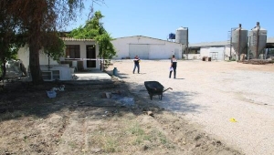 Manisa'daki çiftlik cinayetiyle ilgili 4 gözaltı