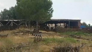 Soma'da yıldırım düştü: 9 kişi yaralandı, 1 inek telef oldu