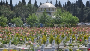 YİTİRDİKLERİMİZ