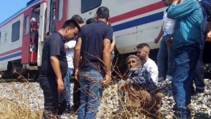 Yolcu treninin çarptığı çoban yaralandı