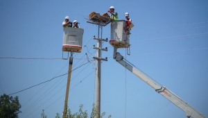 Leyleklere Yeni Yuva Projesi 10 Yaşında,