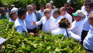 Salihli'de 'Tarla Günü' düzenlendi