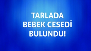 Tarlada bebek cesedi bulundu