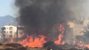 3 hayvan damı ve çalılıklar çıkan yangında küle döndü