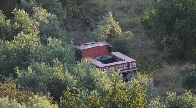 5 dönüm meyvelik alan zarar gördü