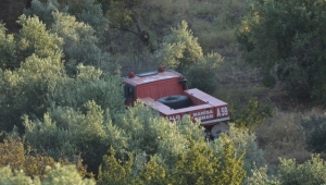 5 dönüm meyvelik alan zarar gördü