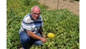 6 ayda 300 farklı yerli tohum elde edildi