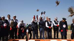 Tarım Alanları Kınalı Kekliklere Emanet