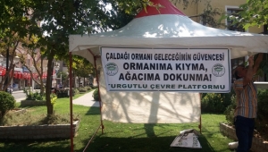 TURÇEP DE ŞENLİKLERDE STANT AÇIYOR