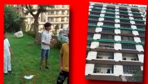 Manisa'da 8'inci kattan düşüp ölen tavşan için 'atıldı' iddiası