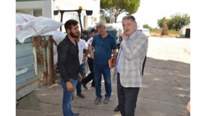 TMO Genel Müdürü: 9 numara kuru üzüm 10 TL'den alınıyor