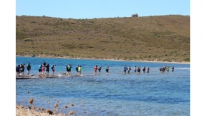 Turdak, Cunda - Pateriça Yalancı Boğaz’daydı