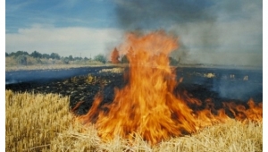 Turgutlu İlçe Tarım Müdürlüğünden anız yangınları için uyarı