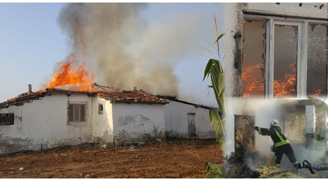 Elektrik kontağından çıkan yangın çiftliği yaktı
