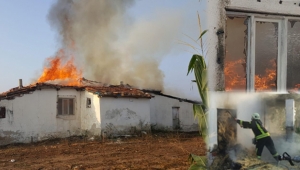 Elektrik kontağından çıkan yangın çiftliği yaktı