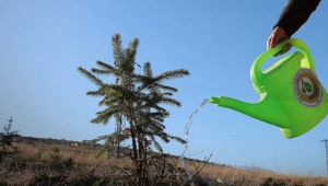 11 Kasım 11.11’de Haydi Turgutlu fidan dikmeye!