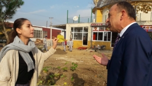 Ağaç kesimine vatandaştan tepki! (VİDEO)