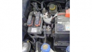 Başkan Sallıtepe’den araç sürücülerine uyarı