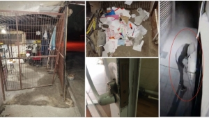 Hırsızlar, Küçük Sanayi Sitesine dadandı 