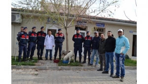 Köpekleri ölüme terk ettikleri ileri sürülen 3 şüpheliye gözaltı