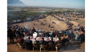 Musalar Yeniköy'de 6.Geleneksel Deve Güreşlerine yoğun ilgi (VİDEO)