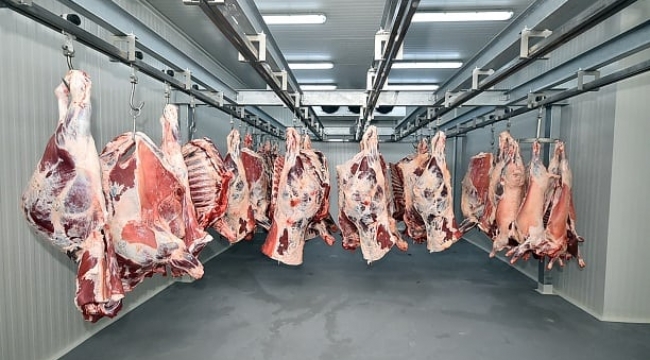 Son dakika… 2019 yılı kırmızı et üretimi belli oldu