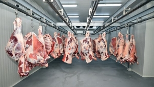 Son dakika… 2019 yılı kırmızı et üretimi belli oldu