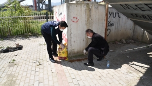 Büyükşehir Sokak hayvanları için mama bırakıyor